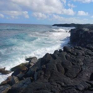 Meet your Posher, Laina